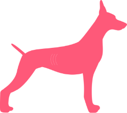 Underweight side View