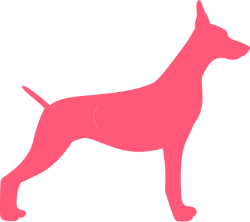 Underweight side View