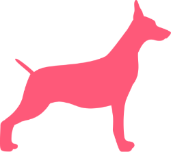 Underweight side View
