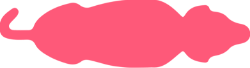 Underweight top View