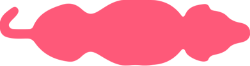 Underweight top View