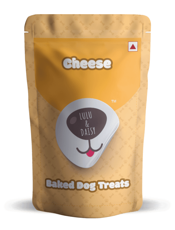 Cheese