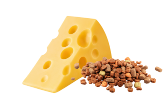 Vector